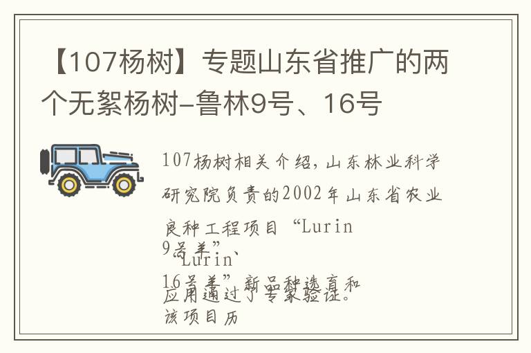 【107杨树】专题山东省推广的两个无絮杨树-鲁林9号、16号