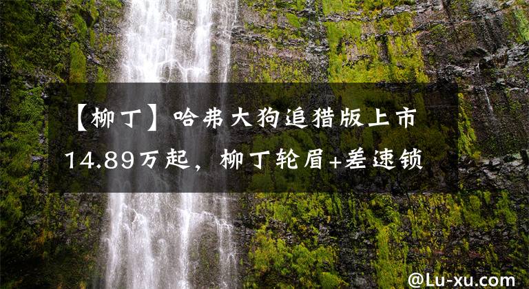 【柳丁】哈弗大狗追猎版上市14.89万起，柳丁轮眉+差速锁，里外都硬核