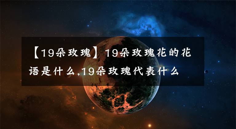 【19朵玫瑰】19朵玫瑰花的花语是什么,19朵玫瑰代表什么