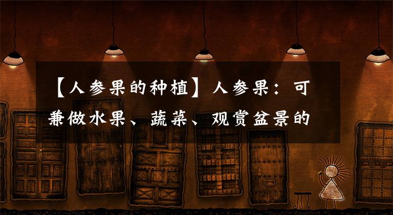 【人参果的种植】人参果：可兼做水果、蔬菜、观赏盆景的特色作物，栽培技术详解