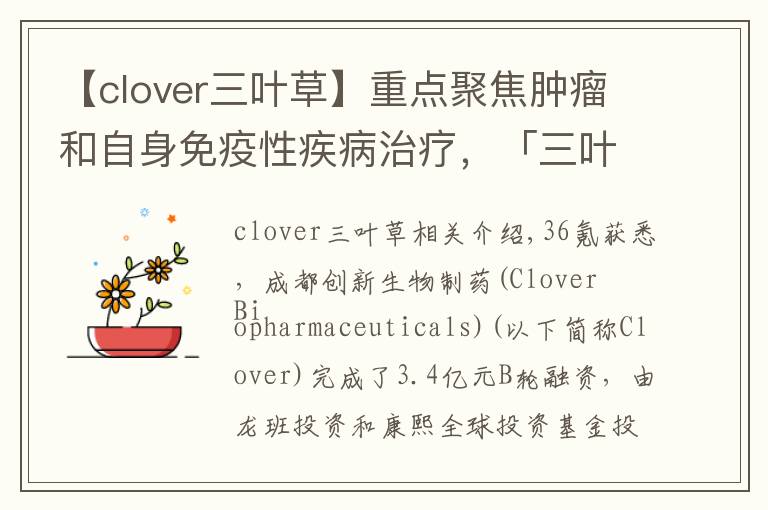 【clover三叶草】重点聚焦肿瘤和自身免疫性疾病治疗，「三叶草生物」获3.04亿元B轮融资