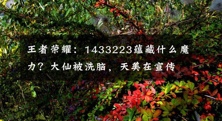 王者荣耀：1433223蕴藏什么魔力？大仙被洗脑，天美在宣传！