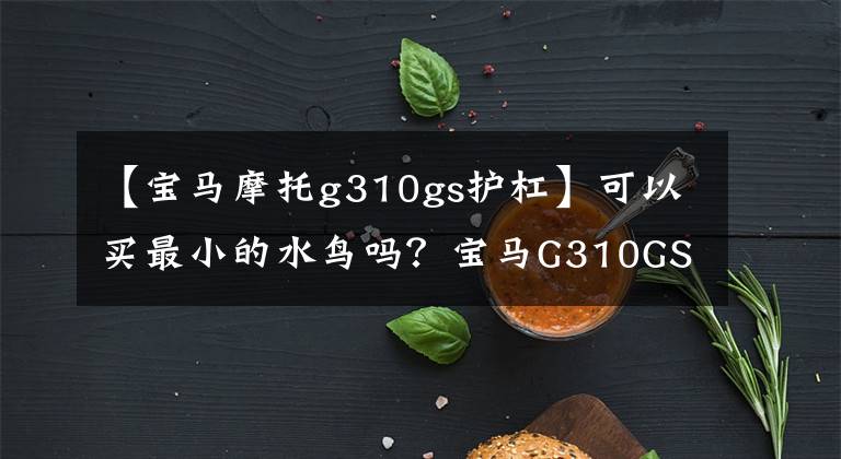 【宝马摩托g310gs护杠】可以买最小的水鸟吗？宝马G310GS优缺点的深入分析