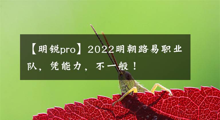 【明锐pro】2022明朝路易职业队，凭能力，不一般！