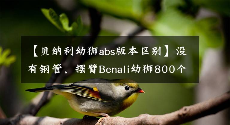 【贝纳利幼狮abs版本区别】没有钢管，摆臂Benali幼狮800个版本有什么区别？