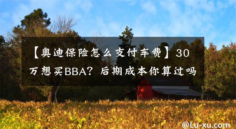 【奥迪保险怎么支付车费】30万想买BBA？后期成本你算过吗！用奥迪带你了解背后的花销