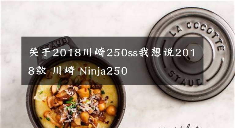 关于2018川崎250ss我想说2018款 川崎 Ninja250