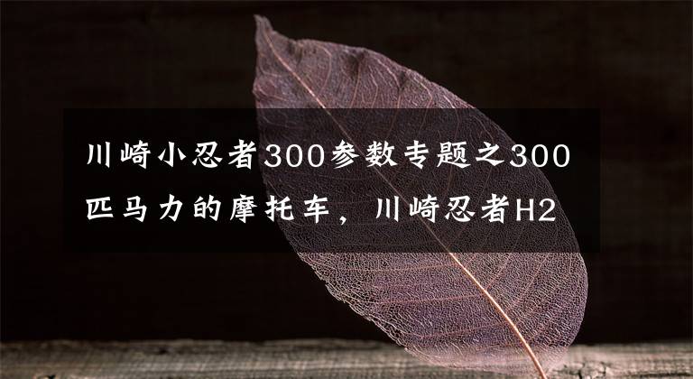 川崎小忍者300参数专题之300匹马力的摩托车，川崎忍者H2