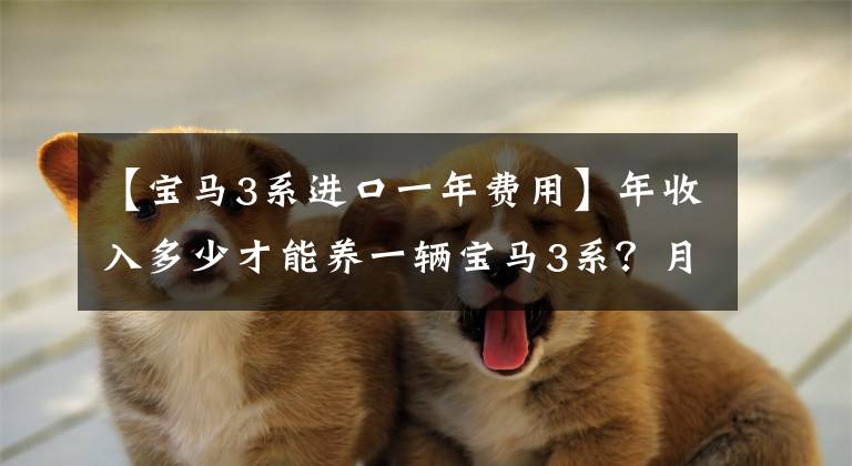 【宝马3系进口一年费用】年收入多少才能养一辆宝马3系？月薪6000韩元够吗？车主：不小心