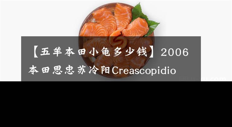 【五羊本田小龟多少钱】2006本田思忠苏冷阳Creascopidio  55期乌龟(视频高清)