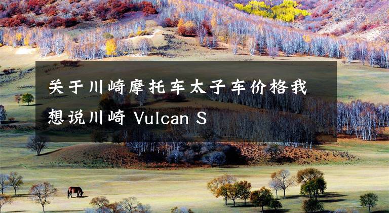 关于川崎摩托车太子车价格我想说川崎 Vulcan S