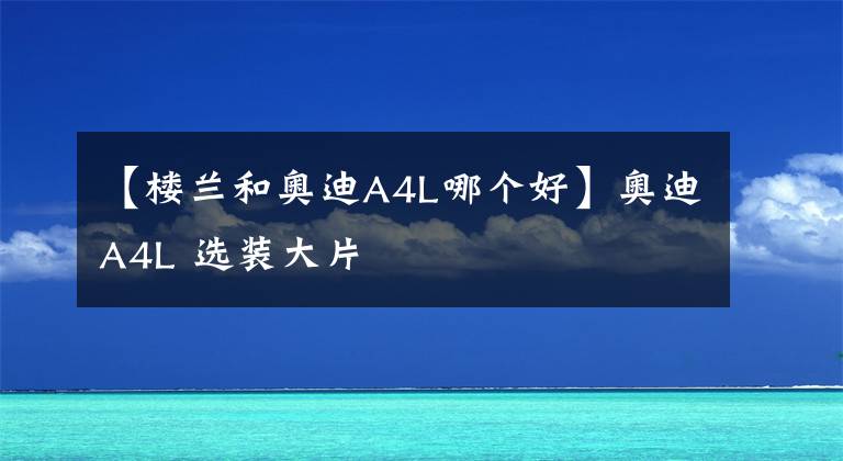 【楼兰和奥迪A4L哪个好】奥迪A4L 选装大片