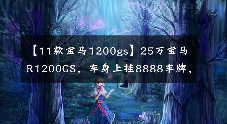 【11款宝马1200gs】25万宝马R1200GS，车身上挂8888车牌，卡是5位数的值