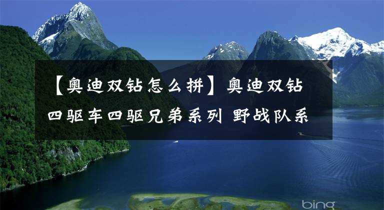 【奥迪双钻怎么拼】奥迪双钻四驱车四驱兄弟系列 野战队系列 老版奥迪双钻四驱车 当年老哥我花大价钱买的