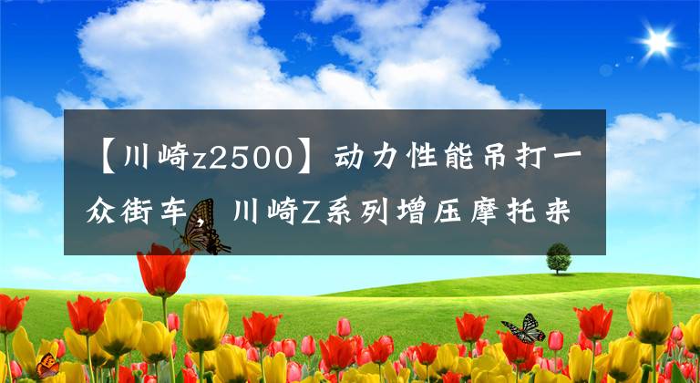 【川崎z2500】动力性能吊打一众街车，川崎Z系列增压摩托来袭，直列四缸200马力