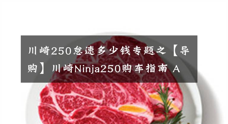 川崎250怠速多少钱专题之【导购】川崎Ninja250购车指南 ABS更具优势