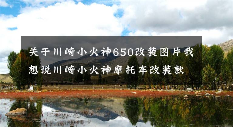 关于川崎小火神650改装图片我想说川崎小火神摩托车改装款欣赏