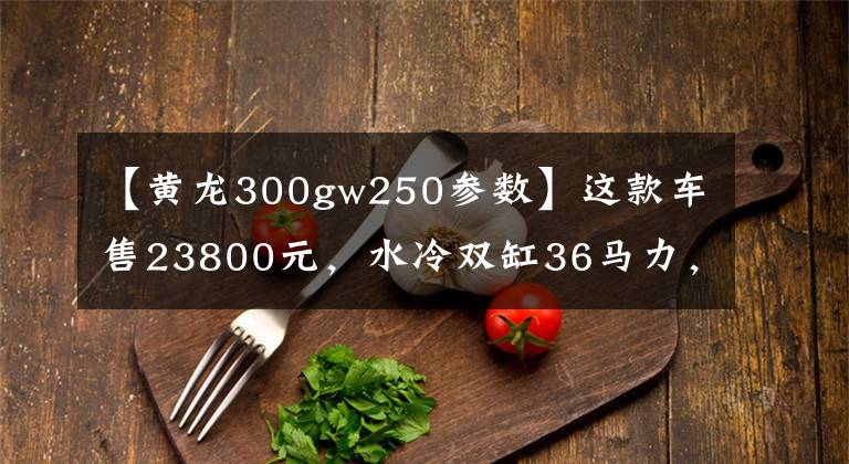 【黄龙300gw250参数】这款车售23800元，水冷双缸36马力，极速最快的车型之一