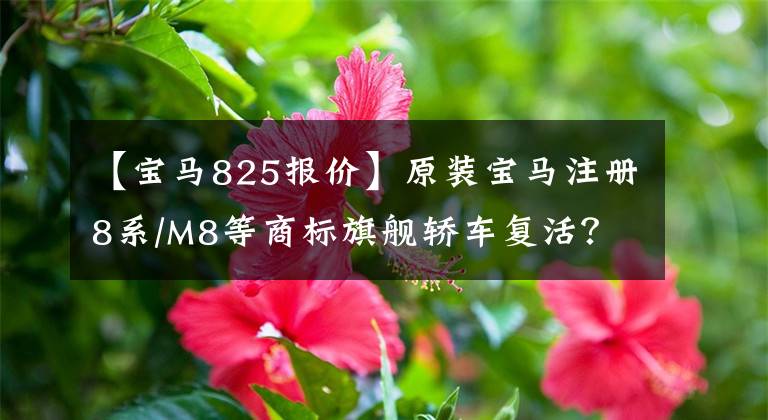 【宝马825报价】原装宝马注册8系/M8等商标旗舰轿车复活？