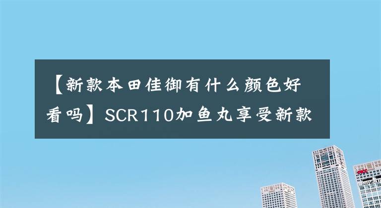 【新款本田佳御有什么颜色好看吗】SCR110加鱼丸享受新款式的质感。