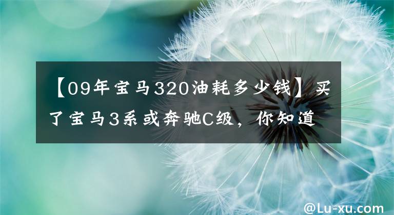 【09年宝马320油耗多少钱】买了宝马3系或奔驰C级，你知道月收入有多少吗？