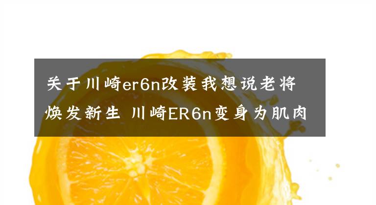 关于川崎er6n改装我想说老将焕发新生 川崎ER6n变身为肌肉恶霸