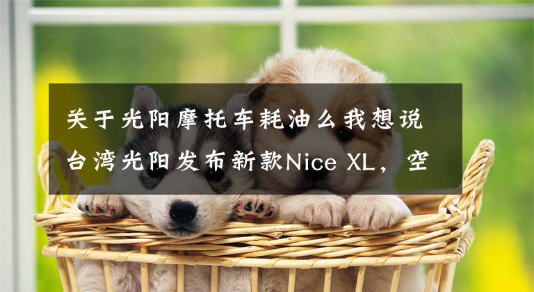 关于光阳摩托车耗油么我想说台湾光阳发布新款Nice XL，空间加大、动力加大、油耗还非常低