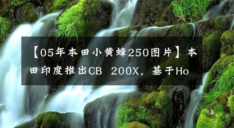 【05年本田小黄蜂250图片】本田印度推出CB  200X，基于Hornet  2.0的灵感，配置类似于high-division  CB  190X