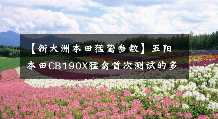 【新大洲本田猛鸷参数】五阳本田CB190X猛禽首次测试的多图详细信息。