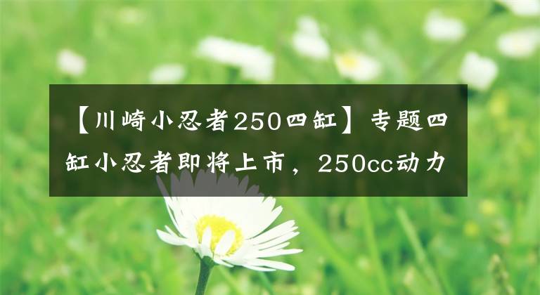 【川崎小忍者250四缸】专题四缸小忍者即将上市，250cc动力秒杀中量级，车友：售价太贵