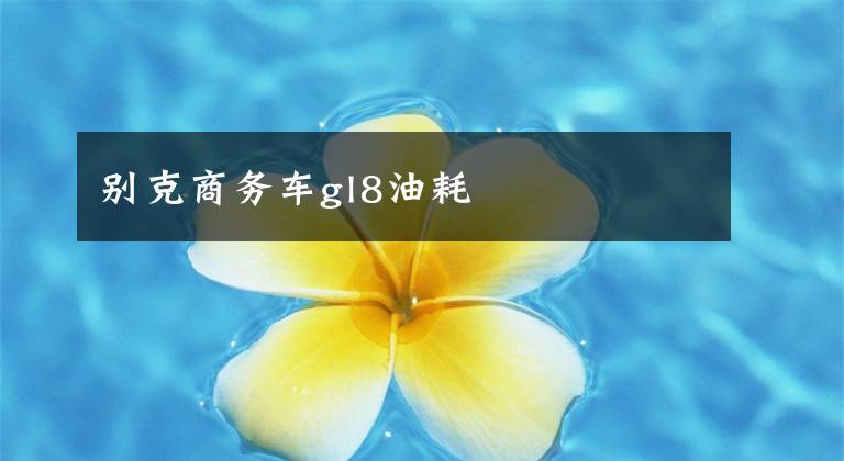 别克商务车gl8油耗