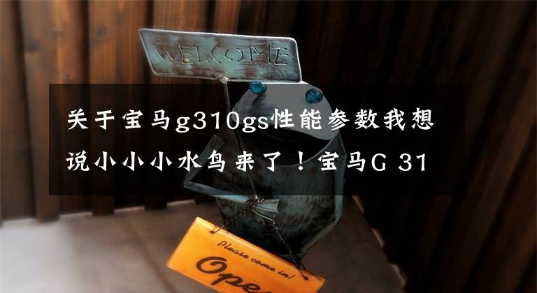 关于宝马g310gs性能参数我想说小小小水鸟来了！宝马G 310GS售价公布