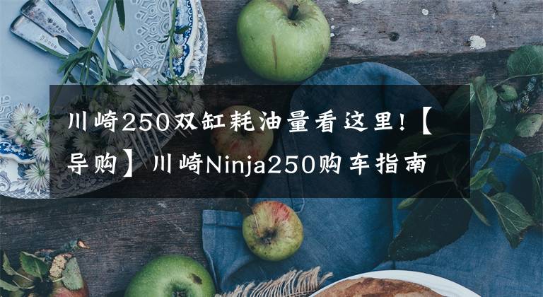 川崎250双缸耗油量看这里!【导购】川崎Ninja250购车指南 ABS更具优势