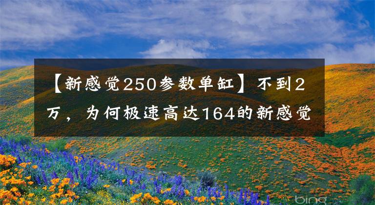 【新感觉250参数单缸】不到2万，为何极速高达164的新感觉250，市场看不到几辆？