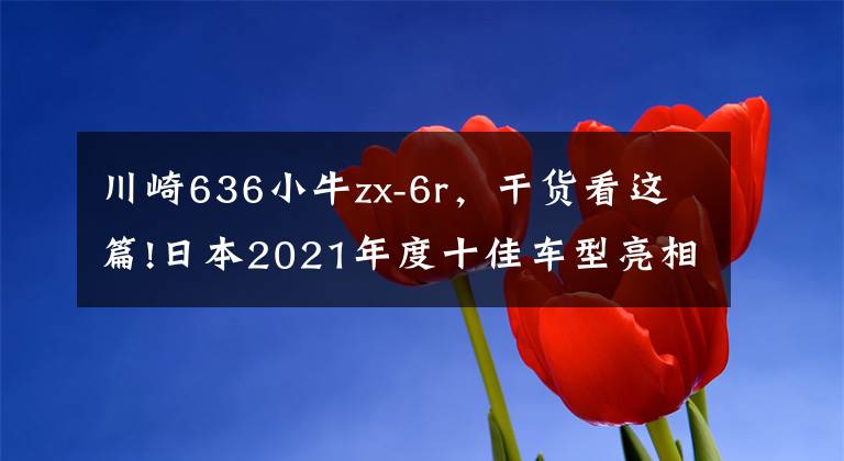 川崎636小牛zx-6r，干货看这篇!日本2021年度十佳车型亮相，四缸依然是王者，有些车型内地能买