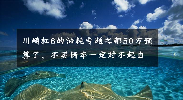 川崎杠6的油耗专题之都50万预算了，不买俩车一定对不起自己