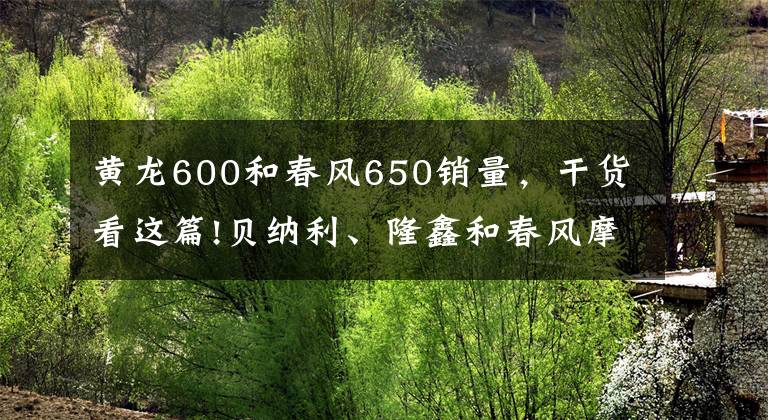 黄龙600和春风650销量，干货看这篇!贝纳利、隆鑫和春风摩托销售背后的猜测