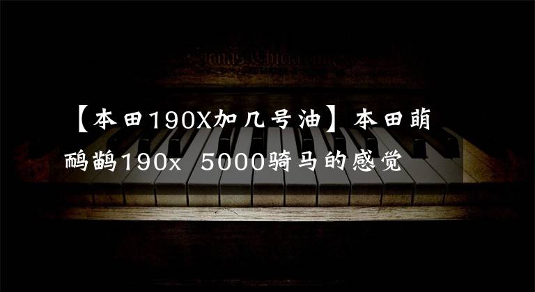 【本田190X加几号油】本田萌鸸鹋190x 5000骑马的感觉