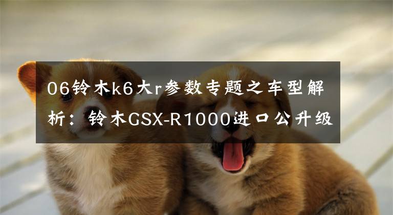06铃木k6大r参数专题之车型解析：铃木GSX-R1000进口公升级跑车中的性价比之王