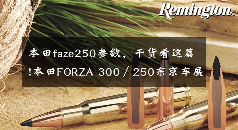 本田faze250参数，干货看这篇!本田FORZA 300／250东京车展抢先看