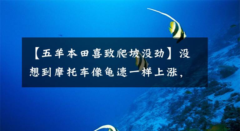 【五羊本田喜致爬坡没劲】没想到摩托车像龟速一样上涨，动力严重不足，出现了问题