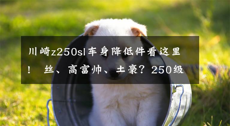 川崎z250sl车身降低件看这里!屌丝、高富帅、土豪？250级街车型摩托对比