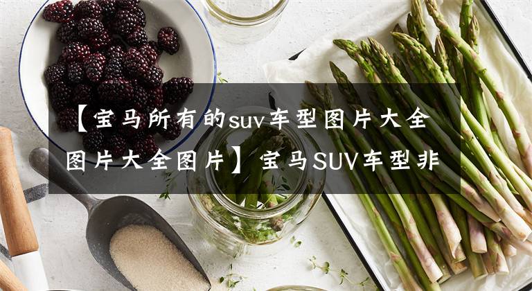 【宝马所有的suv车型图片大全图片大全图片】宝马SUV车型非常多样化，各车型有什么特点，该如何选择？