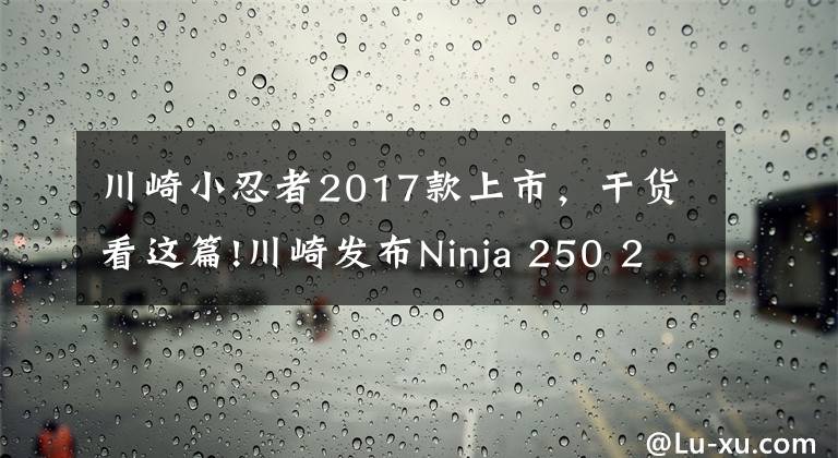 川崎小忍者2017款上市，干货看这篇!川崎发布Ninja 250 2017款配色