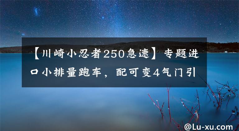 【川崎小忍者250急速】专题进口小排量跑车，配可变4气门引擎，极速135，最大马力19匹