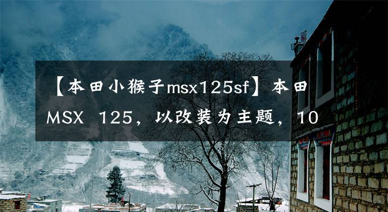【本田小猴子msx125sf】本田MSX  125，以改装为主题，100公里油耗1.4L是经典