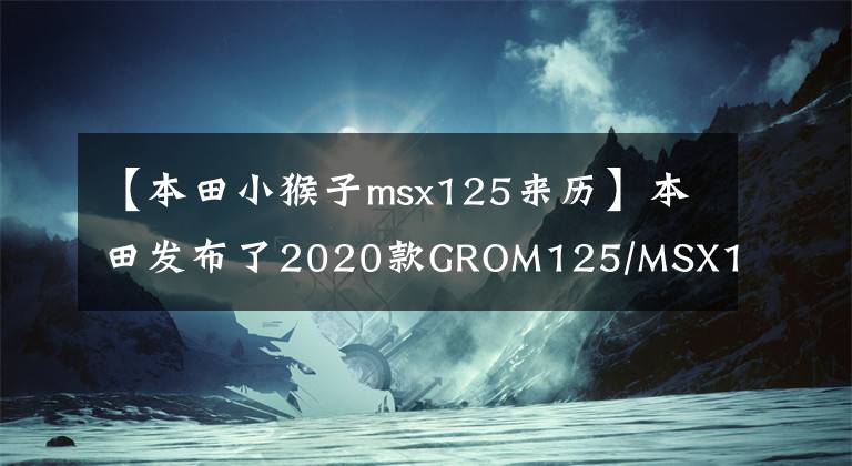 【本田小猴子msx125来历】本田发布了2020款GROM125/MSX125，是女孩子们最喜欢的“大玩偶”。