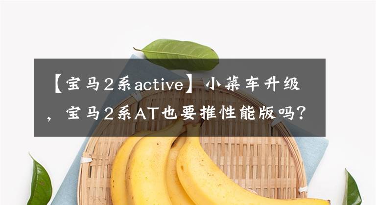 【宝马2系active】小菜车升级，宝马2系AT也要推性能版吗？最大马力来了270匹