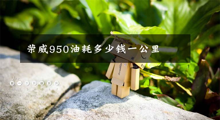 荣威950油耗多少钱一公里