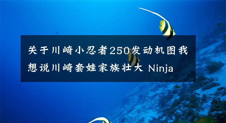 关于川崎小忍者250发动机图我想说川崎套娃家族壮大 Ninja250新款日本上市